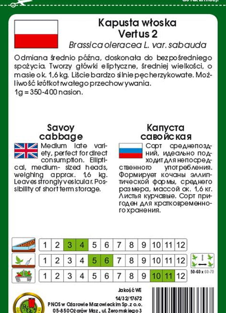 Nasiona - KAPUSTA WŁOSKA VERTUS 2g - Niezłe Ziółko