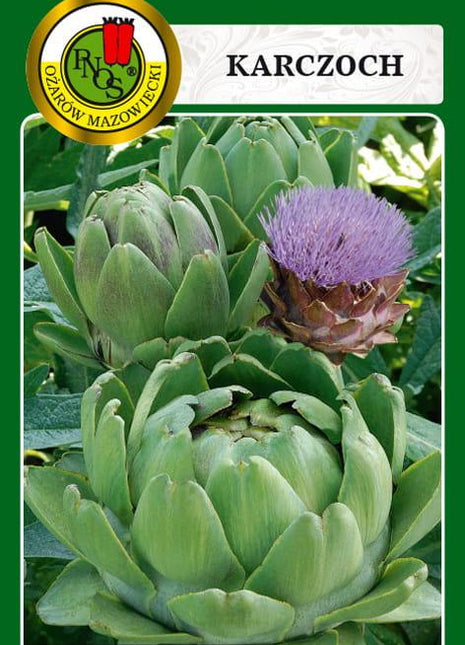Nasiona - KARCZOCH ZWYCZAJNY VERT DE PROVENCE 1g - Niezłe Ziółko