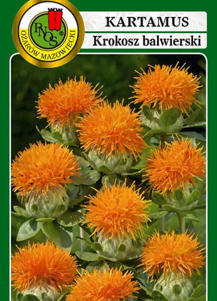 Nasiona - KARTAMUS POMARAŃCZOWY 0,5g - Niezłe Ziółko