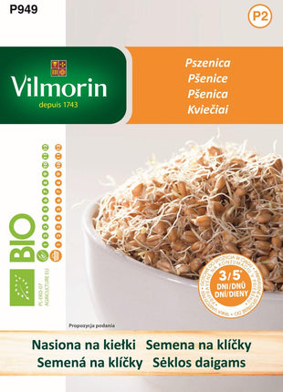 Nasiona - KIEŁKI PSZENICA BIO 40G - Niezłe Ziółko