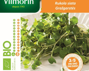 Nasiona - KIEŁKI RUKOLA BIO 20G - Niezłe Ziółko