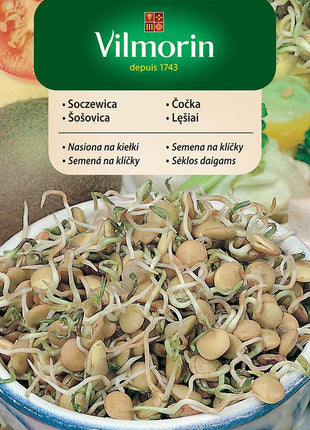 Nasiona - KIEŁKI SOCZEWICA 20G - Niezłe Ziółko