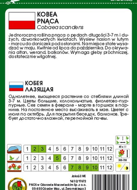 Nasiona - KOBEA PNĄCA NIEBIESKA 0,5g - Niezłe Ziółko