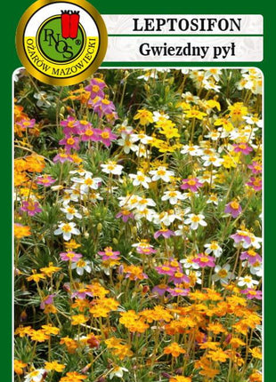 Nasiona - LEPTOSIFON GWIEZDNY PYŁ MIESZANY 0,5G - Niezłe Ziółko
