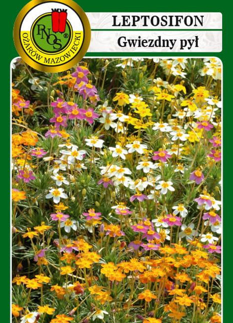 Nasiona - LEPTOSIFON GWIEZDNY PYŁ MIESZANY 0,5G - Niezłe Ziółko