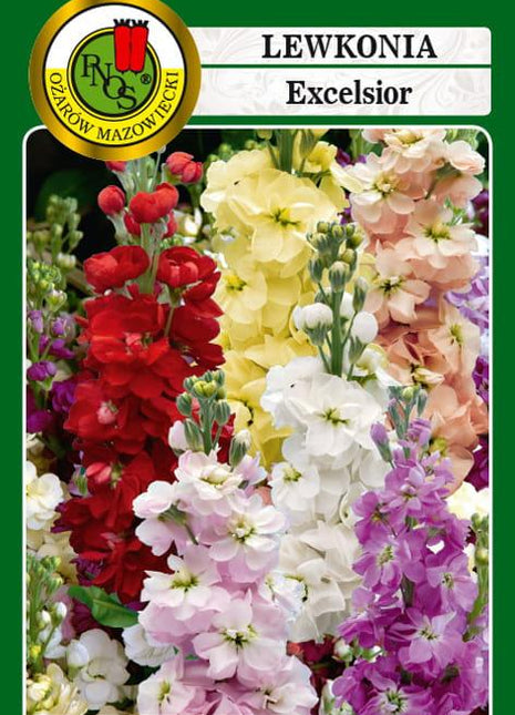 Nasiona - LEWKONIA EXCELSIOR BARA KREMOWOCIELISTA 1g - Niezłe Ziółko