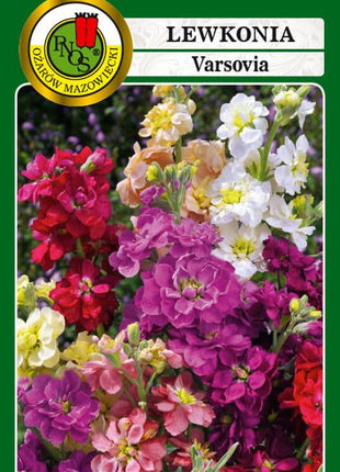 Nasiona - LEWKONIA VARSOVIA KAMA KARMINOWORÓŻOWA 1g - Niezłe Ziółko