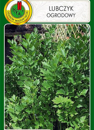 Nasiona - LUBCZYK OGRODOWY 1g - Niezłe Ziółko