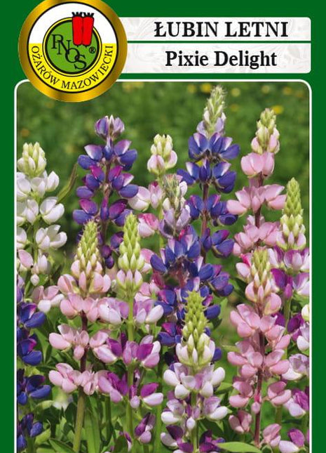 Nasiona - ŁUBIN LETNI PIXIE DELIGHT MIESZANY 5g - Niezłe Ziółko