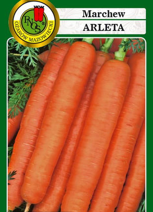 Nasiona - MARCHEW JADALNA ARLETA 5g - około 3250 sztuk nasion w opakowaniu - Niezłe Ziółko