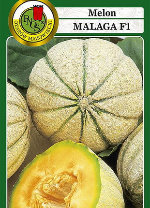 Nasiona - MELON MALAGA F1 1g - Niezłe Ziółko