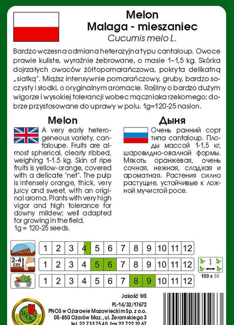 Nasiona - MELON MALAGA F1 1g - Niezłe Ziółko