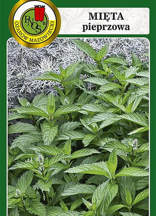 Nasiona - MIĘTA PIEPRZOWA 0,2g - Niezłe Ziółko