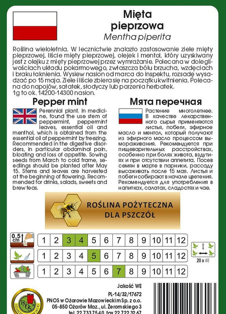 Nasiona - MIĘTA PIEPRZOWA 0,2g - Niezłe Ziółko