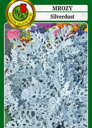Nasiona - MROZY SILVERDUST 0,2g - Niezłe Ziółko
