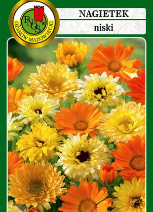 Nasiona - NAGIETEK NISKI MIESZANY 3g - Niezłe Ziółko