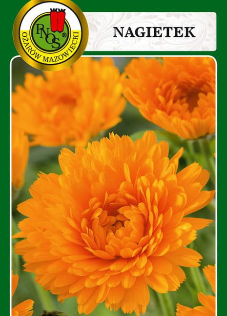 Nasiona - NAGIETEK POMARAŃCZOWY 3g - Niezłe Ziółko