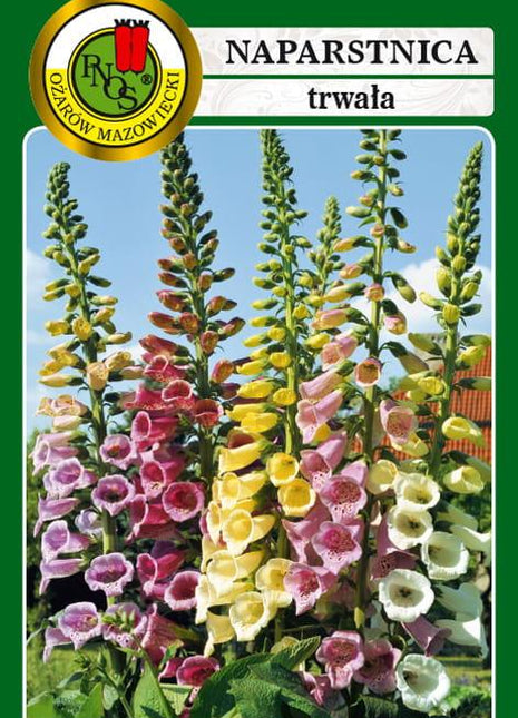 Nasiona - NAPARSTNICA TRWAŁA GLOXINIAEFLORA MIESZANA 1g - Niezłe Ziółko