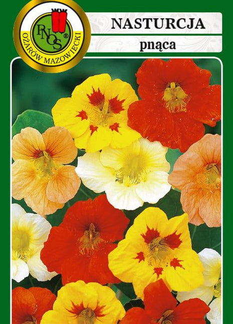 Nasiona - NASTURCJA PNĄCA MIESZANA 6g - Niezłe Ziółko
