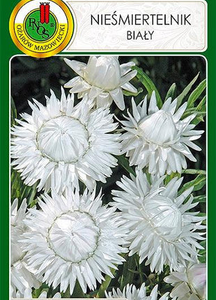 Nasiona - NIEŚMIERTELNIK BIAŁY 1,5g - Niezłe Ziółko