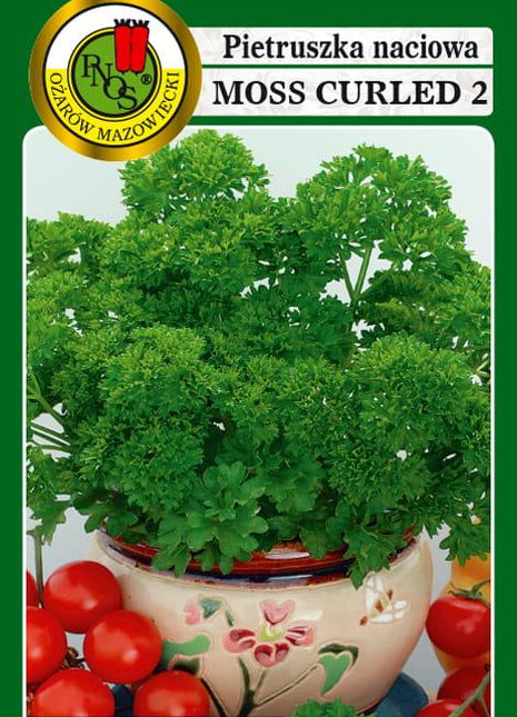 Nasiona - PIETRUSZKA NACIOWA MOSS CURLED 2 5g - około 2750 sztuk nasion w opakowaniu - Niezłe Ziółko