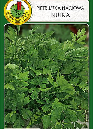 Nasiona - PIETRUSZKA NACIOWA NUTKA 5g - około 3750 sztuk nasion w opakowaniu - Niezłe Ziółko