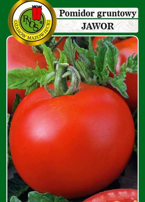 Nasiona - POMIDOR GRUNTOWY JAWOR 1g - Niezłe Ziółko