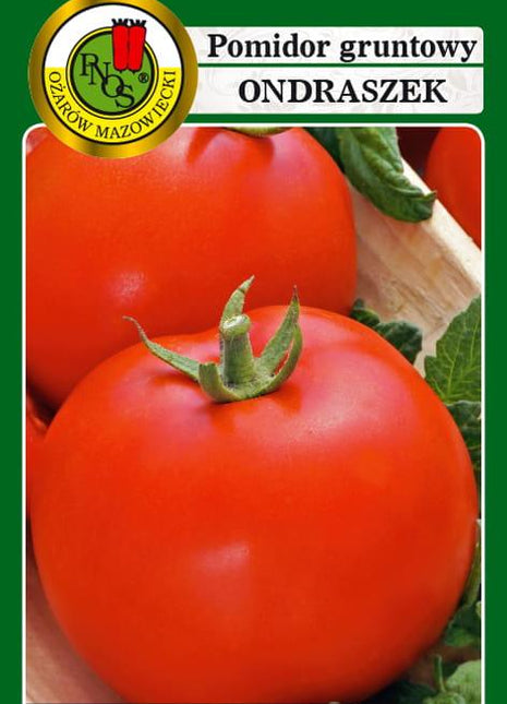 Nasiona - POMIDOR GRUNTOWY ONDRASZEK 1g - Niezłe Ziółko