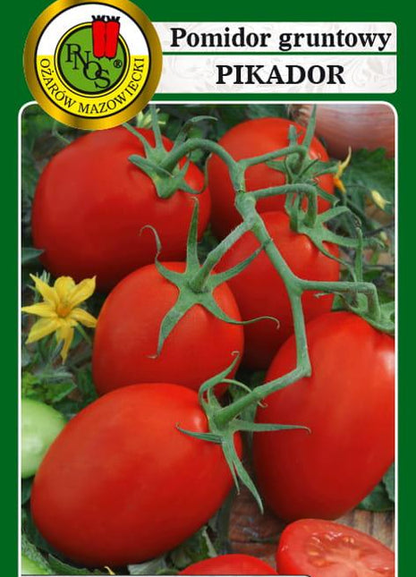 Nasiona - POMIDOR KOKTAJLOWY PIKADOR 1g - Niezłe Ziółko