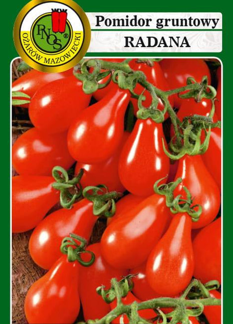 Nasiona - POMIDOR KOKTAJLOWY RADANA 0,3g - Niezłe Ziółko