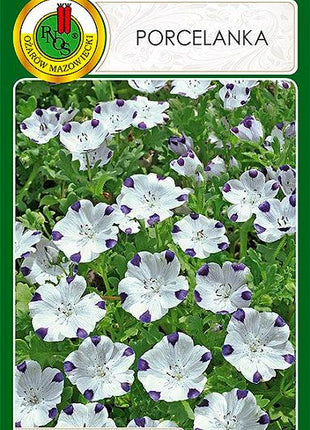 Nasiona - PORCELANKA 0,5g - Niezłe Ziółko