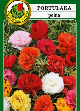 Nasiona - PORTULAKA MIESZANA 0,5g - Niezłe Ziółko
