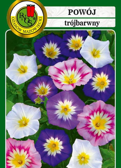 Nasiona - POWÓJ TRÓJBARWNY MIESZANY 2g - Niezłe Ziółko