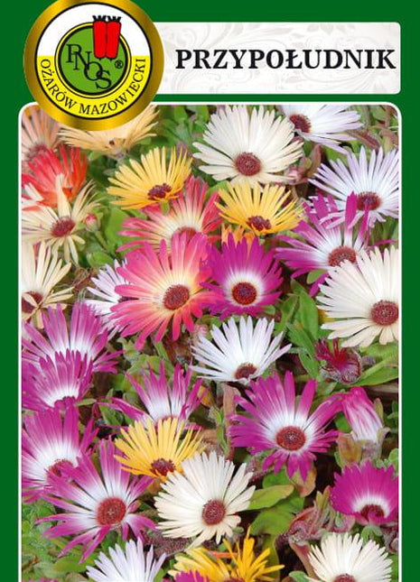 Nasiona - PRZYPOŁUDNIK MIESZANY 0,5g - Niezłe Ziółko