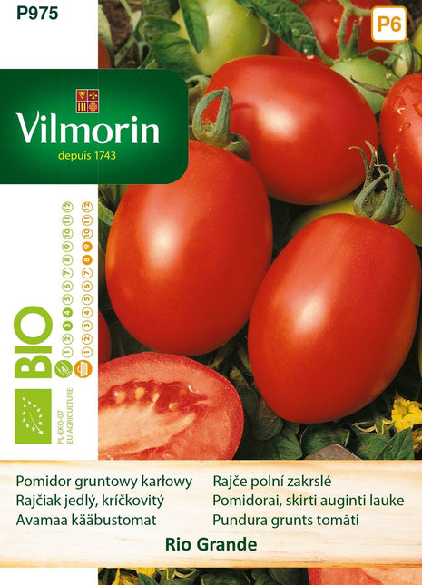 Nasiona - RIO GRANDE BIO POMIDOR CZERWONY 0,5G - Niezłe Ziółko