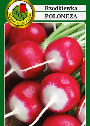 Nasiona - RZODKIEWKA POLONEZA 10g - Niezłe Ziółko