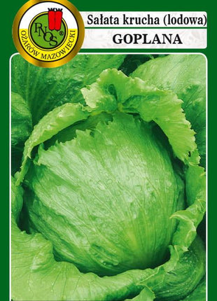 Nasiona - SAŁATA GŁOWIASTA KRUCHA GOPLANA 1g - koło 1200 sztuk nasion w opakowaniu - Niezłe Ziółko