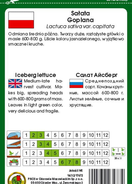 Nasiona - SAŁATA GŁOWIASTA KRUCHA GOPLANA 1g - koło 1200 sztuk nasion w opakowaniu - Niezłe Ziółko