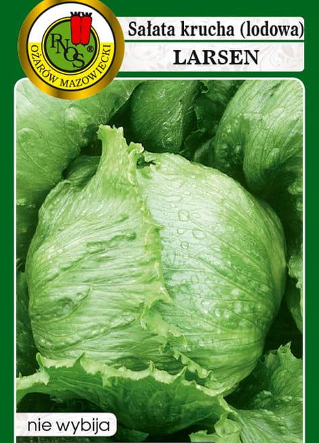 Nasiona - SAŁATA GŁOWIASTA KRUCHA LARSEN 1g - koło 1200 sztuk nasion w opakowaniu - Niezłe Ziółko