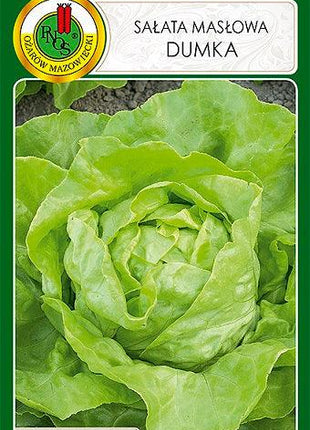 Nasiona - SAŁATA GŁOWIASTA MASŁOWA DUMKA 1g - koło 1000 sztuk nasion w opakowaniu - Niezłe Ziółko