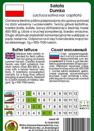 Nasiona - SAŁATA GŁOWIASTA MASŁOWA DUMKA 1g - koło 1000 sztuk nasion w opakowaniu - Niezłe Ziółko