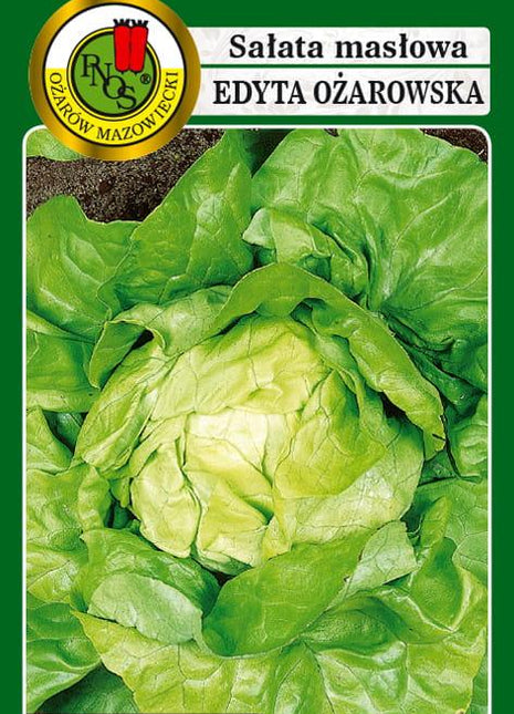 Nasiona - SAŁATA GŁOWIASTA MASŁOWA EDYTA OŻAROWSKA 1g - koło 1200 sztuk nasion w opakowaniu - Niezłe Ziółko