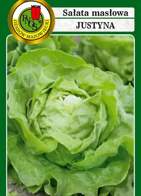 Nasiona - SAŁATA GŁOWIASTA MASŁOWA JUSTYNA 1g - koło 1200 sztuk nasion w opakowaniu - Niezłe Ziółko