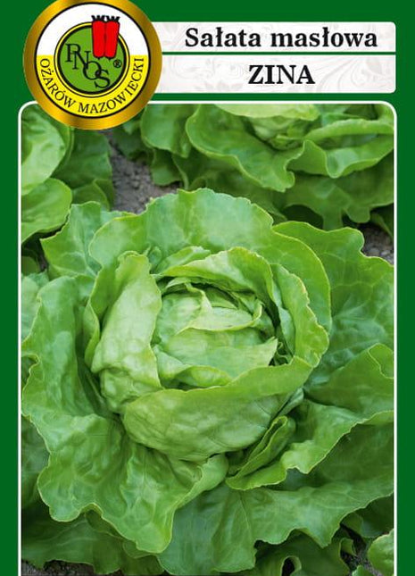 Nasiona - SAŁATA GŁOWIASTA MASŁOWA ZIMUJĄCA ZINA 1g - koło 1200 sztuk nasion w opakowaniu - Niezłe Ziółko