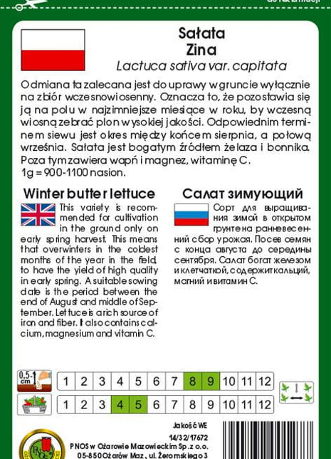 Nasiona - SAŁATA GŁOWIASTA MASŁOWA ZIMUJĄCA ZINA 1g - koło 1200 sztuk nasion w opakowaniu - Niezłe Ziółko