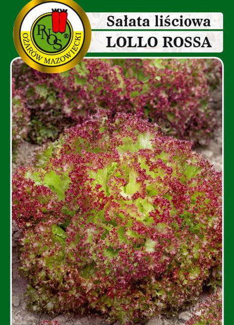 Nasiona - SAŁATA LIŚCIOWA LOLLO ROSSA 1g - koło 1000 sztuk nasion w opakowaniu - Niezłe Ziółko