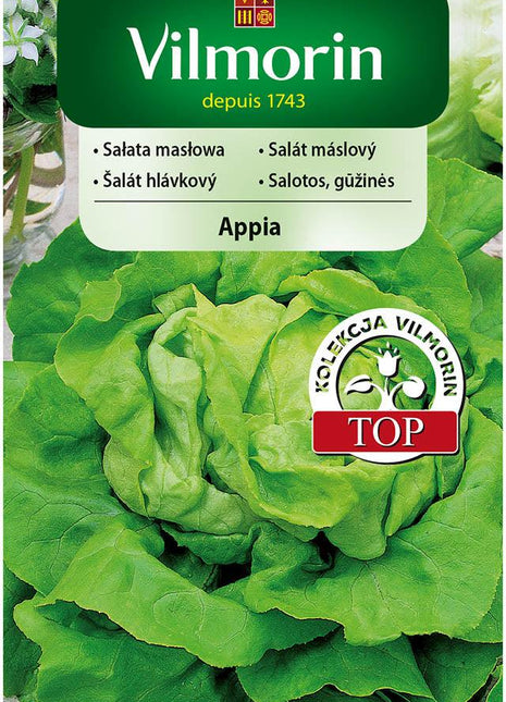 Nasiona - SAŁATA MASŁOWA APPIA 0,5G - Niezłe Ziółko