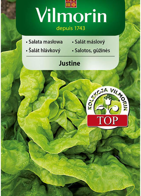 Nasiona - SAŁATA MASŁOWA JUSTINE 0,5G - Niezłe Ziółko