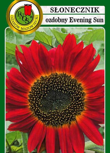 Nasiona - SŁONECZNIK OZDOBNY EVENING SUN CZERWONO-BRĄZOWY 2g - Niezłe Ziółko
