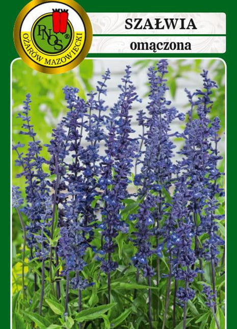Nasiona - SZAŁWIA OMĄCZONA FIOLETOWA 0,2g - Niezłe Ziółko